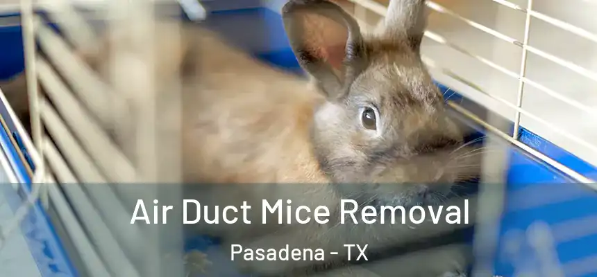 Air Duct Mice Removal Pasadena - TX