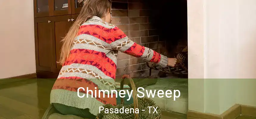  Chimney Sweep Pasadena - TX