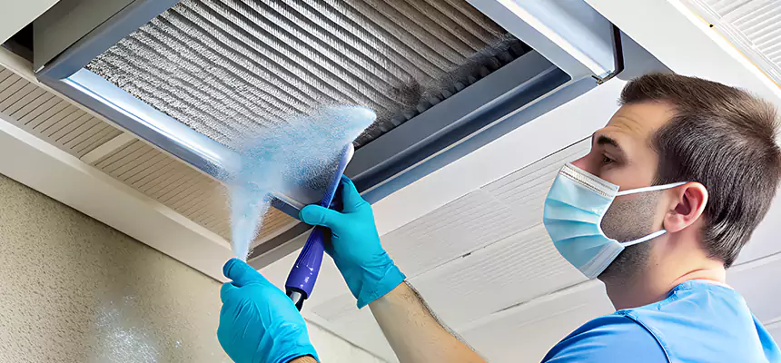 Proactive Dryer Vent & Auxiliary Duct Pollen Cleanup in Pasadena, TX