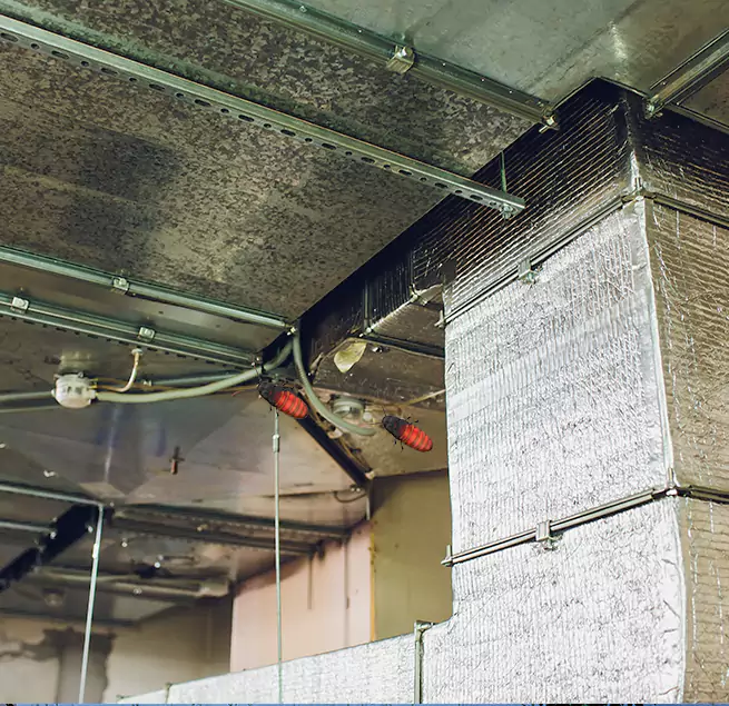 Why Homeowners & Businesses Trust Us in Pasadena, TX?