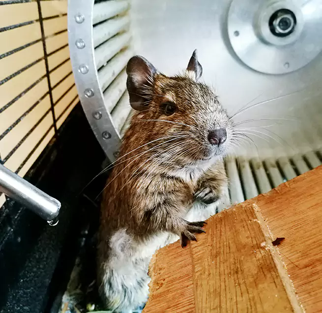 Why Homeowners & Businesses Trust Us Pasadena, TX?